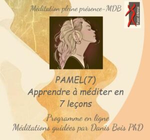 PAMEL(7)